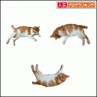 人気ブログランキングへ